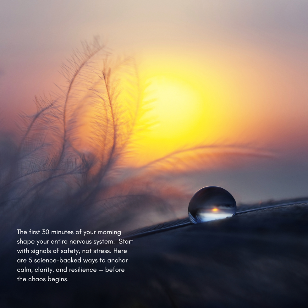 starting the day with sunlight and calm nervous system reset